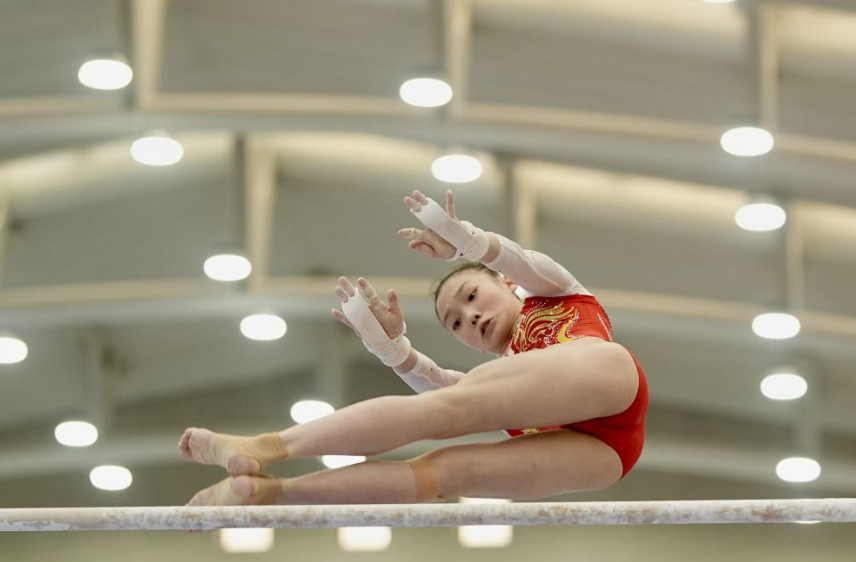百家乐官网的奖金制度详解