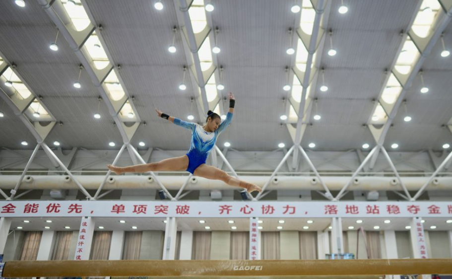 玩真人百家乐，享受无限乐趣与惊喜